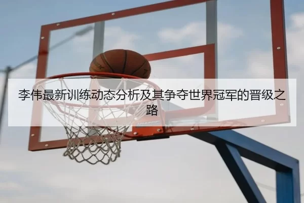 李伟最新训练动态分析及其争夺世界冠军的晋级之路